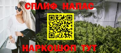 мяу мяу мука Малгобек