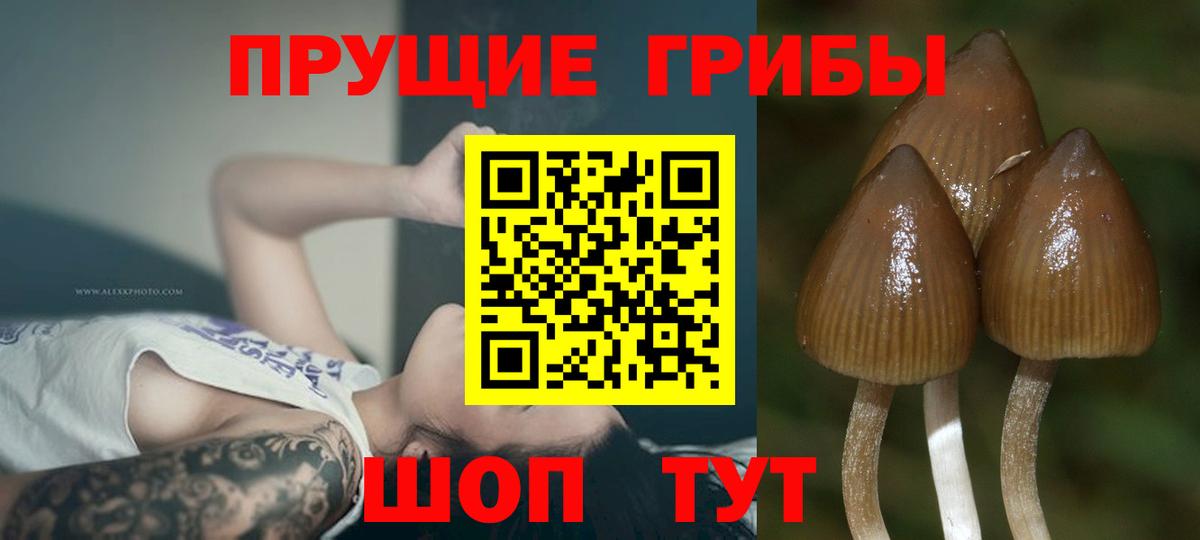 Сыктывкар  Галлюциногенные грибы MAGIC MUSHROOMS  Вход с VPN  Галлюциногенные грибы прущие грибы 